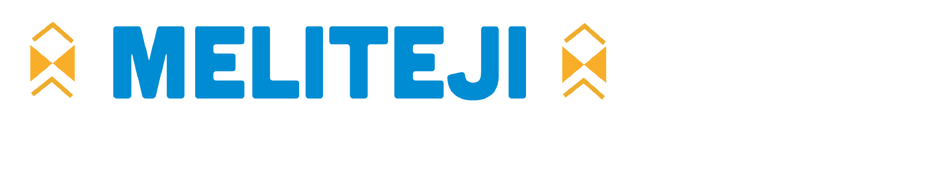 logo-extended-Wasu-FSLL